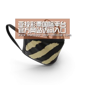 成人布口罩