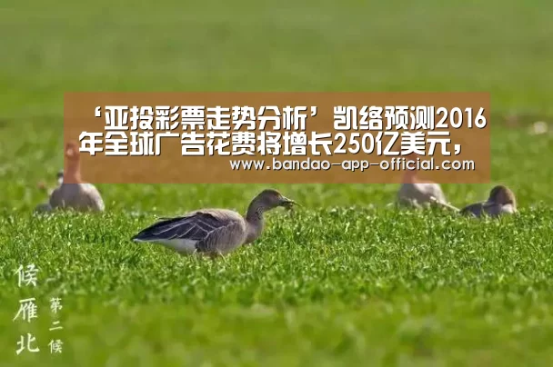 ‘亚投彩票走势分析’凯络预测2016年全球广告花费将增长250亿美元,同比增幅4.7%(图1) 亚投彩票开奖查询
