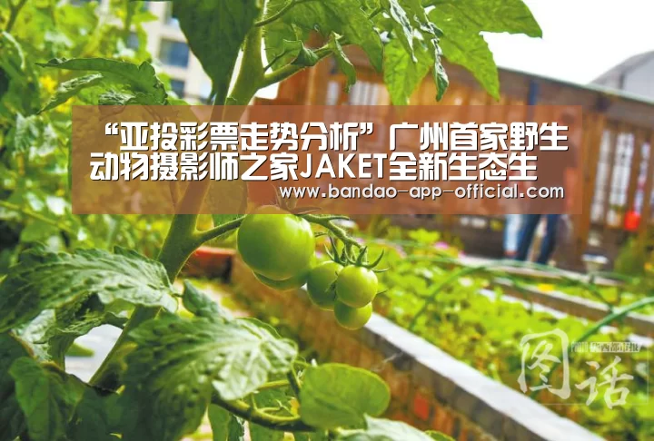 “亚投彩票走势分析”广州首家野生动物摄影师之家JAKET全新生态生活馆(图1) 亚投彩票