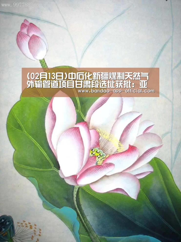 (02月13日)中石化新疆煤制天然气外输管道项目甘肃段选址获批:亚投彩票官网(图1) 亚投彩票开奖查询