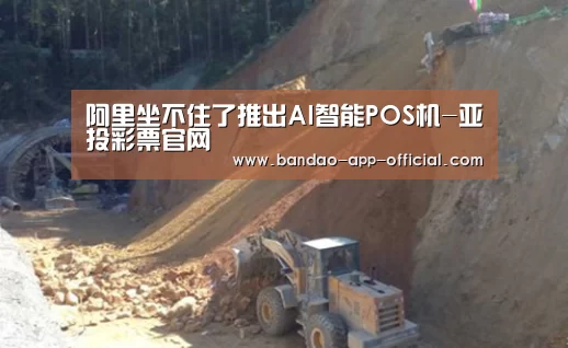 阿里坐不住了推出AI智能POS机-亚投彩票官网(图2) 亚投彩票官网