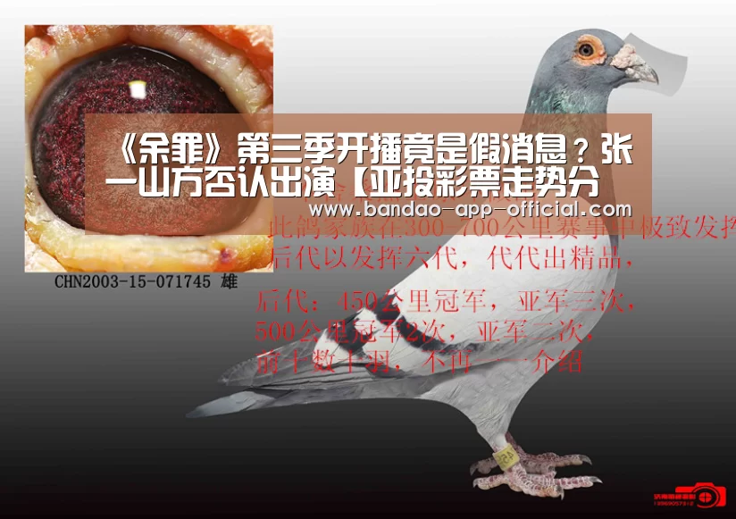 《余罪》第三季开播竟是假消息?张一山方否认出演【亚投彩票走势分析】(图2) 亚投彩票